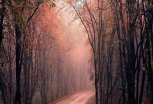 东升国际:水晶宫足总杯晋级搅乱英超赛程,利物浦争冠再添变数.