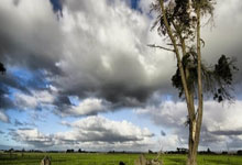 斯基拉:米兰计划买断沃克,并准备签约至年.