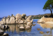 东升国际:国米1-1客平米兰,阿根廷前锋奉献助攻!他另一次怒射太像劳塔罗.